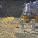 Fun Is Wherever You Can Find It by Alan Bean